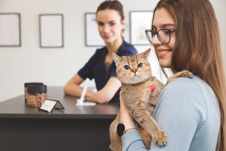 Assicurazione animali senior: come funziona e quando è utile